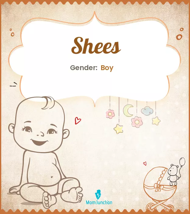 Explore Shees: Meaning, Origin & Popularity_image