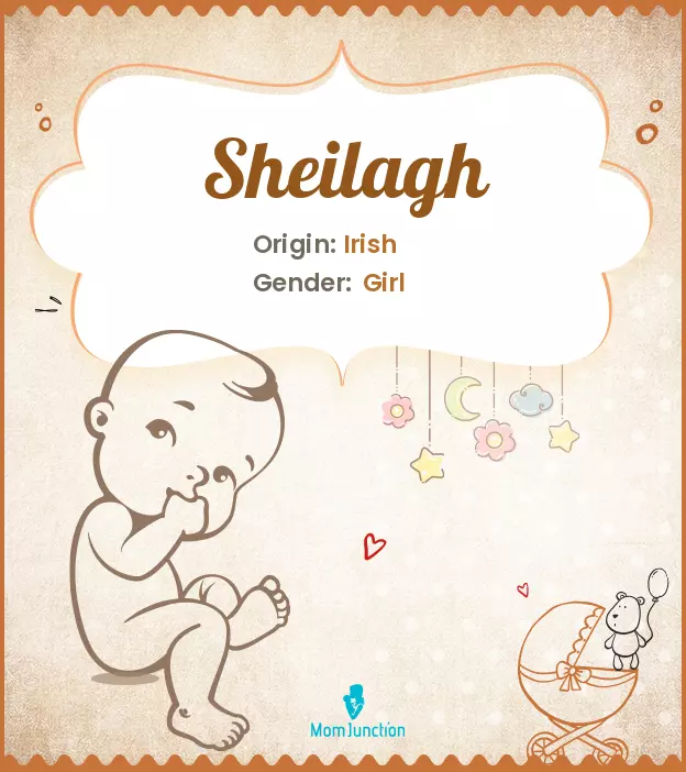 sheilagh_image