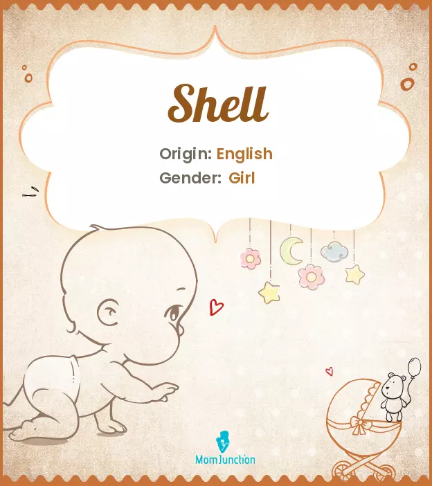 Explore Shell: Meaning, Origin & Popularity | MomJunction