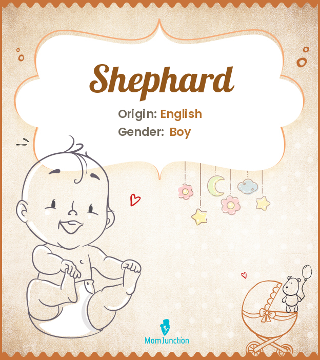 shephard