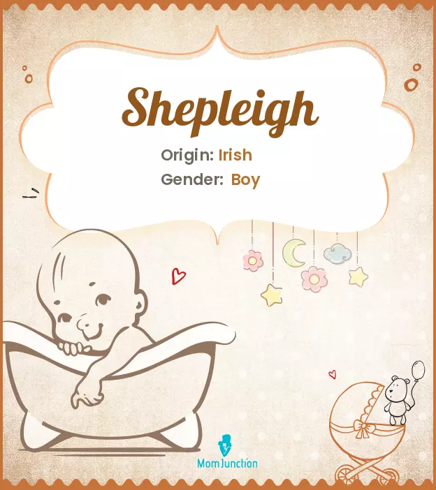 shepleigh_image