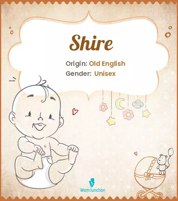 Explore Shire: Meaning, Origin & Popularity_image