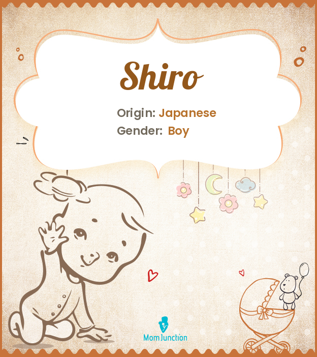 Shiro Name Meaning, Origin, History, And Popularity