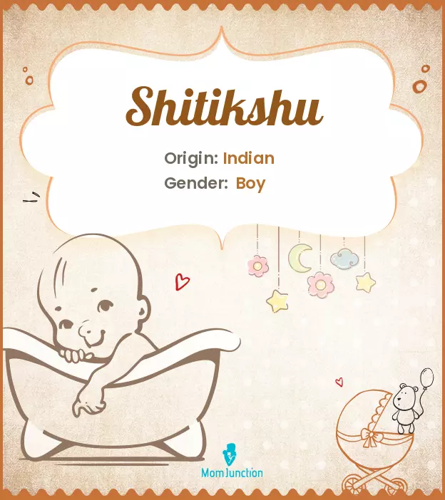shitikshu shitikshu_image