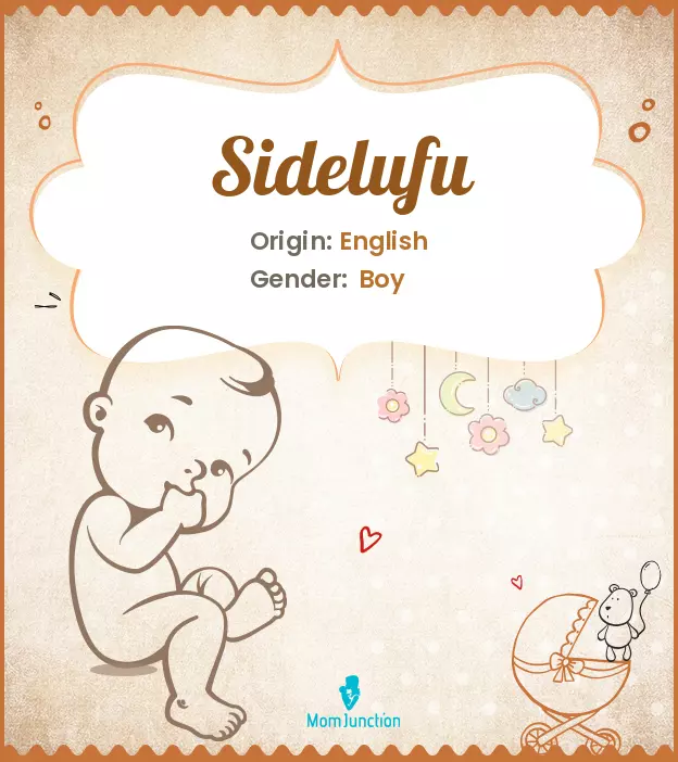 sidelufu_image