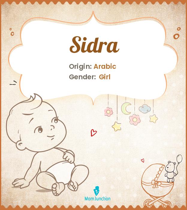 sidra sidra