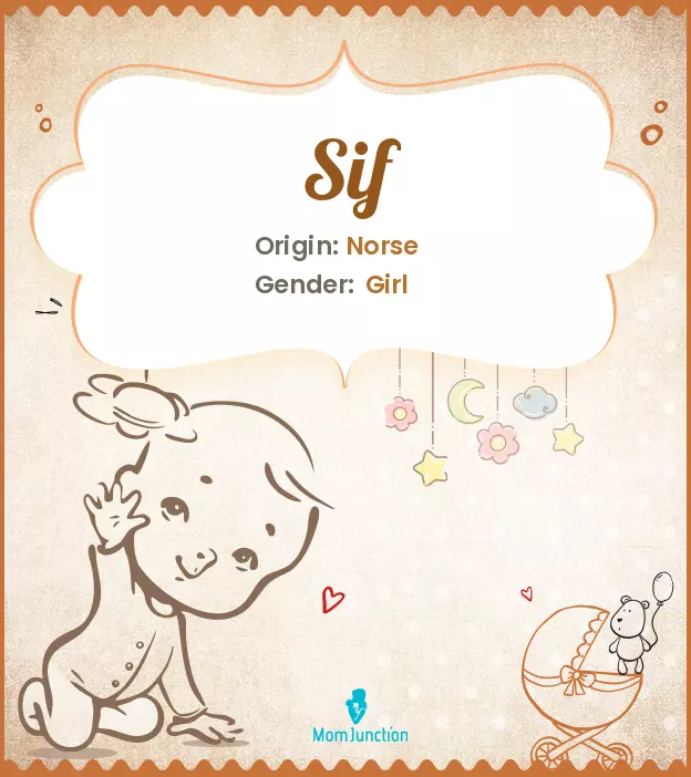 Explore Sif: Meaning, Origin & Popularity | MomJunction