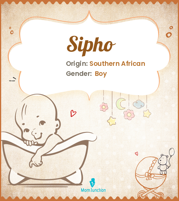 sipho