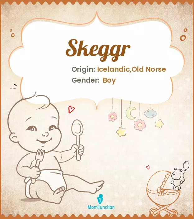 Baby Name Skeggr Meaning, Origin, And Popularity