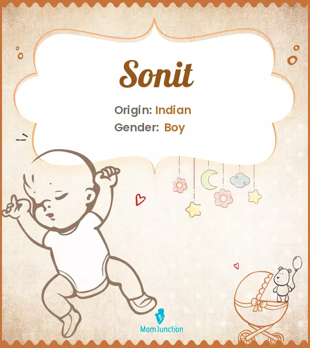 Explore Sonit: Meaning, Origin & Popularity_image