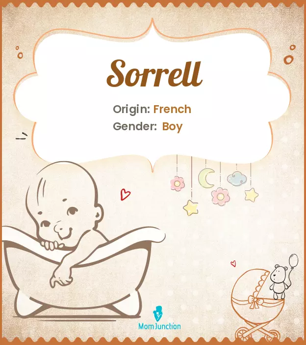 Explore Sorrell: Meaning, Origin & Popularity | MomJunction