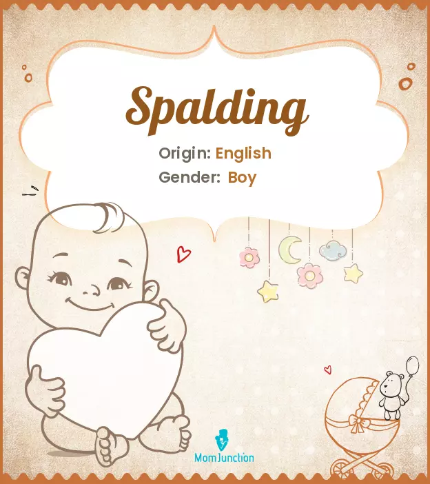 Explore Spalding: Meaning, Origin & Popularity | MomJunction