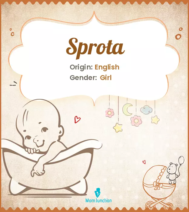 Baby Name sprota Meaning, Origin, And Popularity