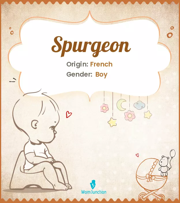 Explore Spurgeon: Meaning, Origin & Popularity_image