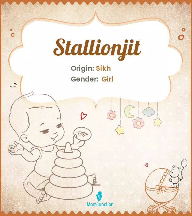 stallionjit