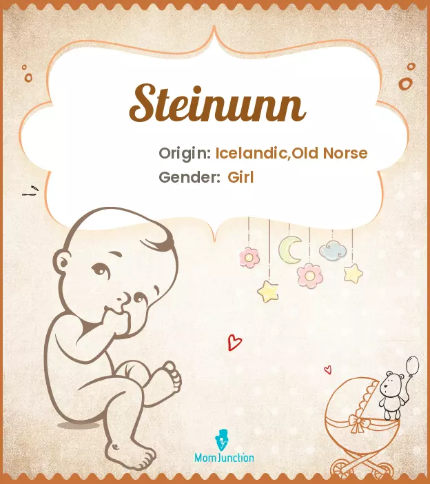 Steinunn_image