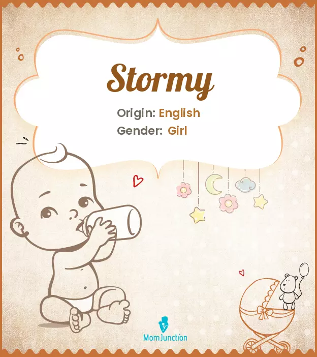 Explore Stormy: Meaning, Origin & Popularity | MomJunction