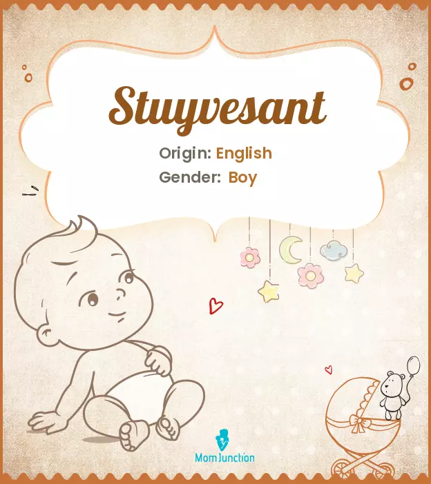 Explore Stuyvesant: Meaning, Origin & Popularity | MomJunction