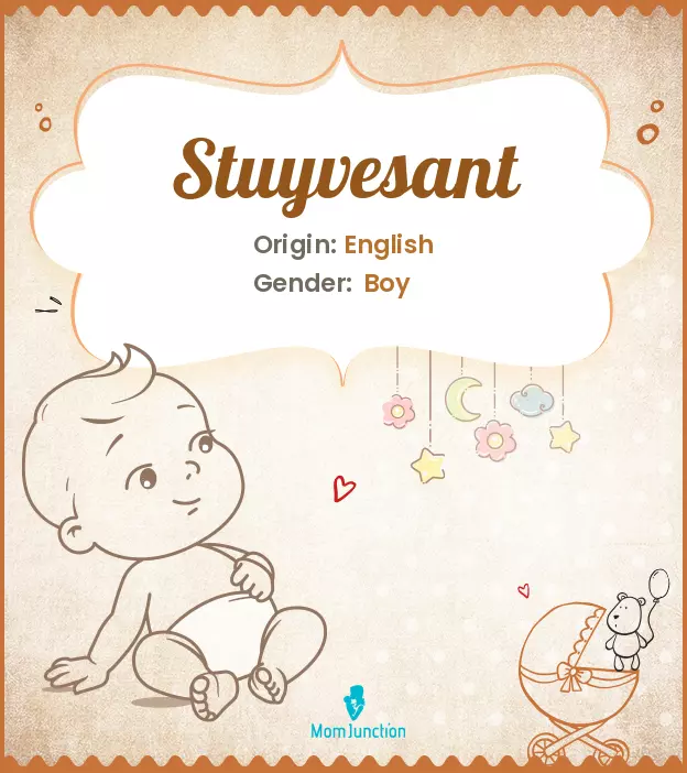 Explore Stuyvesant: Meaning, Origin & Popularity_image