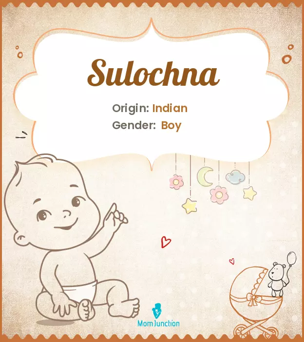 sulochna_image