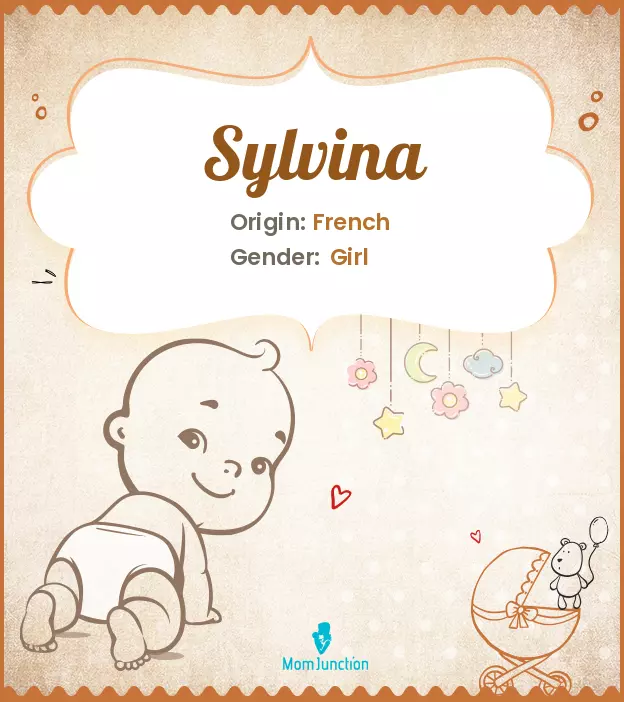 sylvina_image