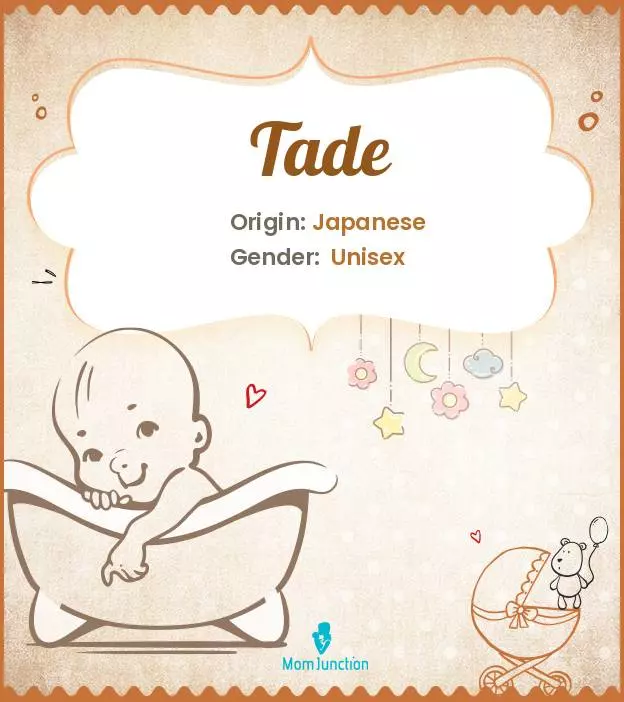 Explore Tade: Meaning, Origin & Popularity | MomJunction