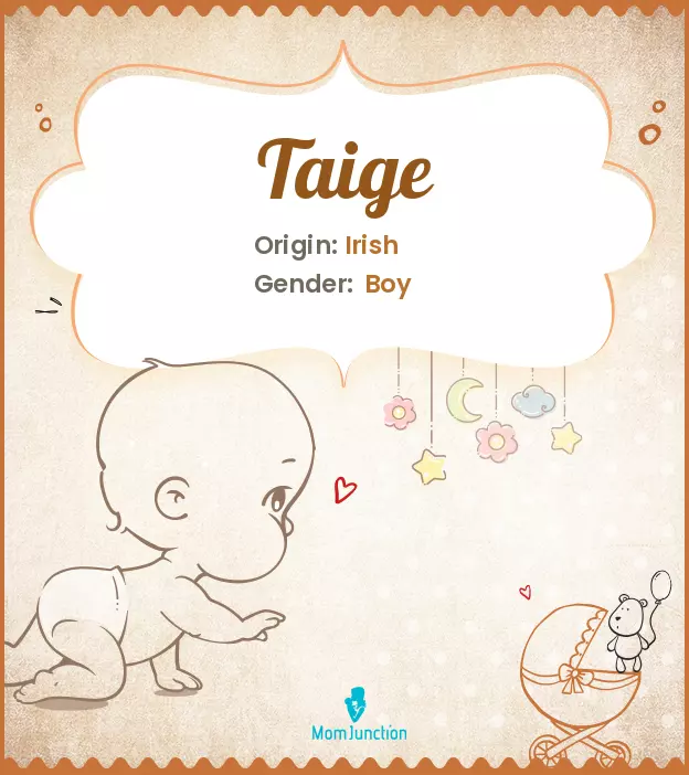 Explore Taige: Meaning, Origin & Popularity_image