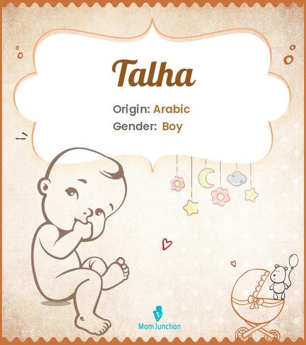 talha