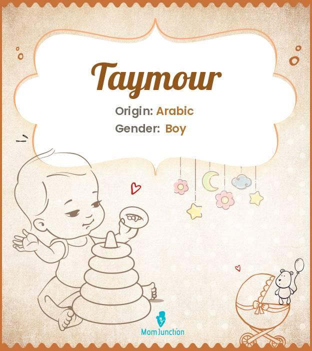 Explore Taymour: Meaning, Origin & Popularity_image