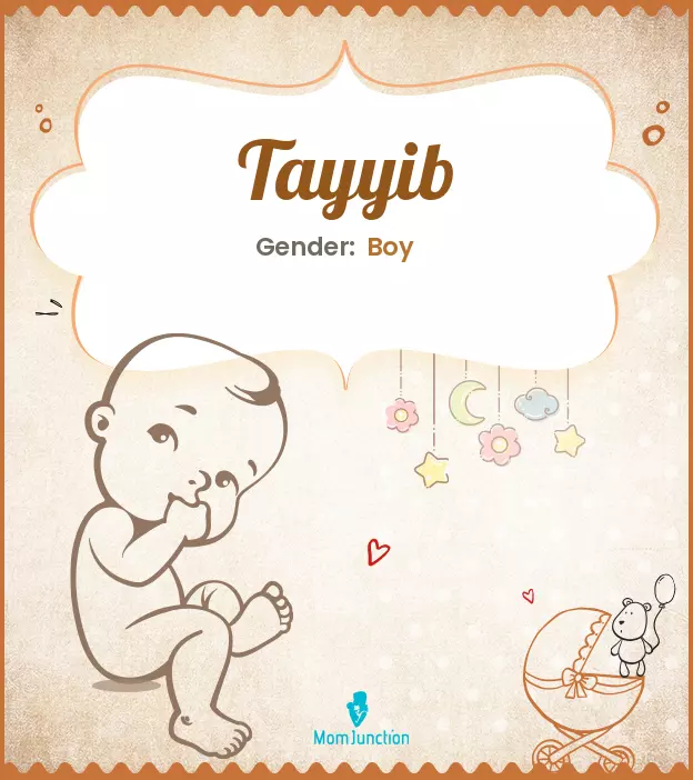 Explore Tayyib: Meaning, Origin & Popularity_image