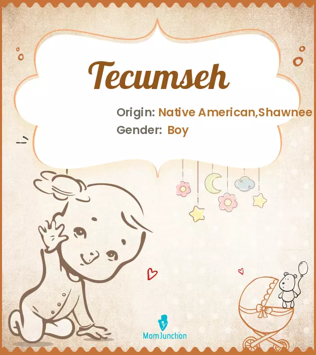 Explore Tecumseh: Meaning, Origin & Popularity_image