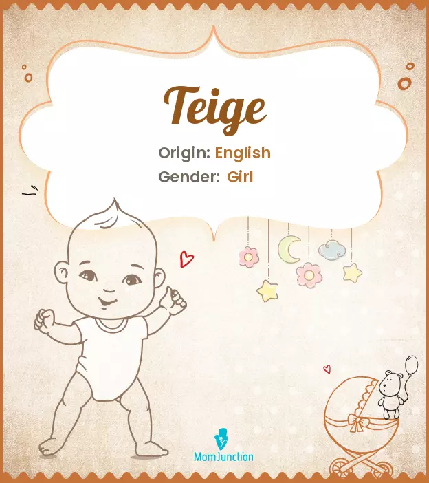 Explore Teige: Meaning, Origin & Popularity | MomJunction