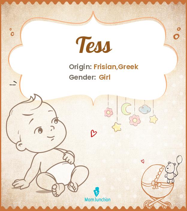 Tess Name Meaning, Origin, History, And Popularity_image