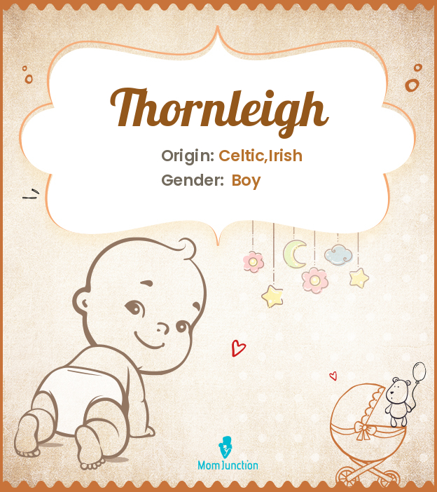 thornleigh