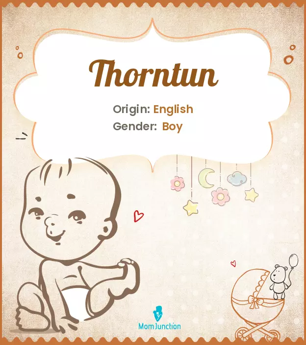 thorntun_image