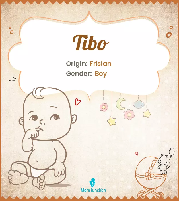 Explore Tibo: Meaning, Origin & Popularity | MomJunction