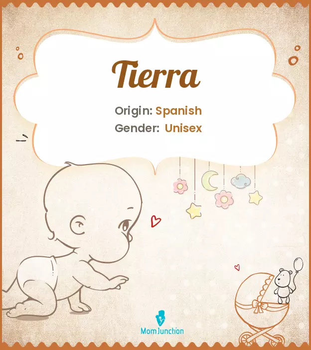 Explore Tierra: Meaning, Origin & Popularity_image