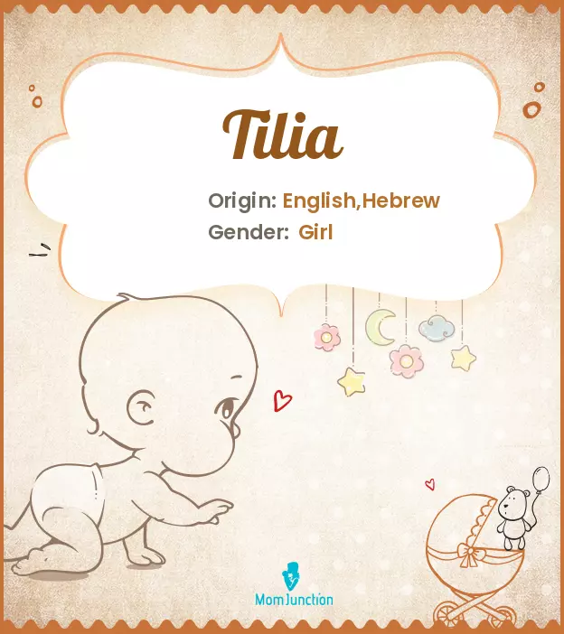 Explore Tilia: Meaning, Origin & Popularity_image