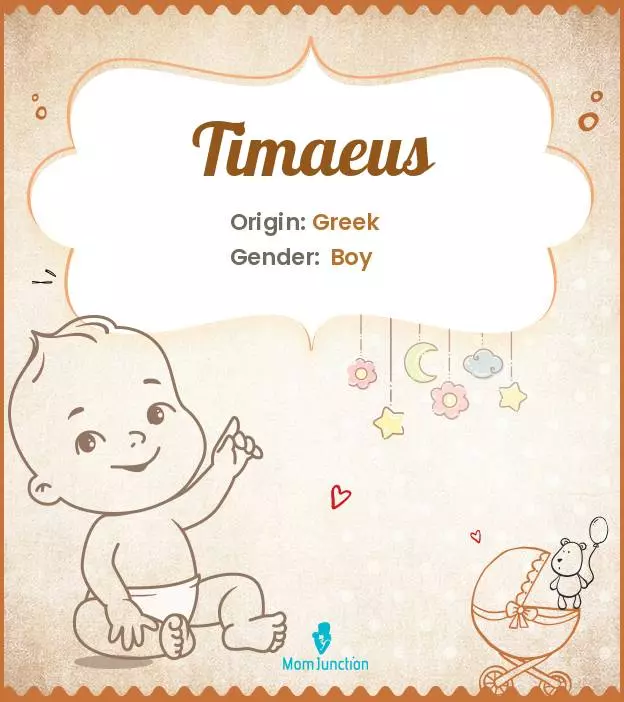 Explore Timaeus: Meaning, Origin & Popularity | MomJunction