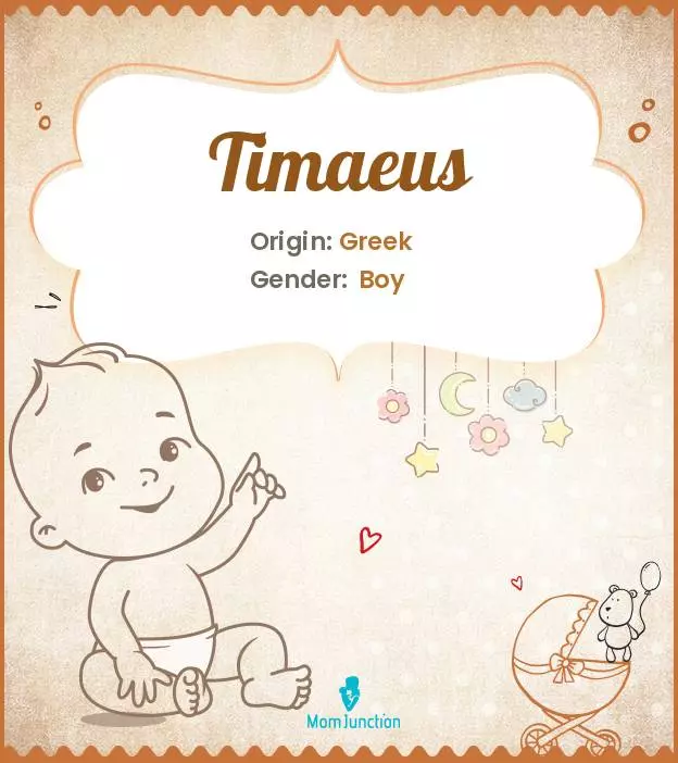 Explore Timaeus: Meaning, Origin & Popularity_image