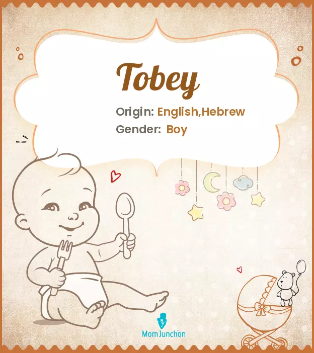 Explore Tobey: Meaning, Origin & Popularity_image