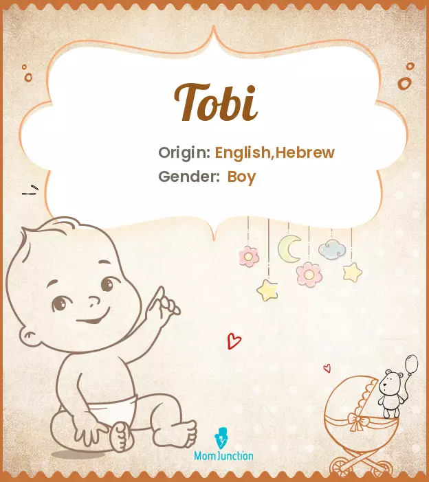 Explore Tobi: Meaning, Origin & Popularity | MomJunction