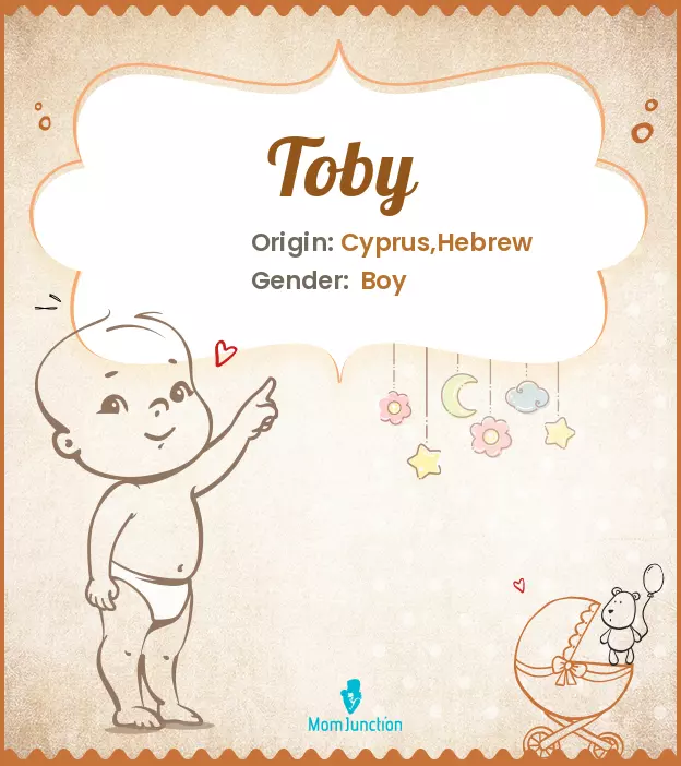 Toby Name, Meaning, Origin, History, And Popularity | MomJunction