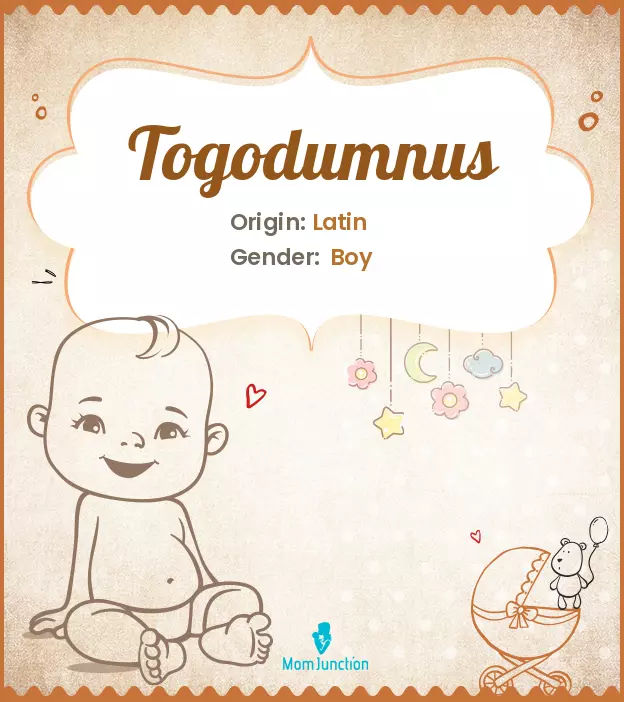 togodumnus_image