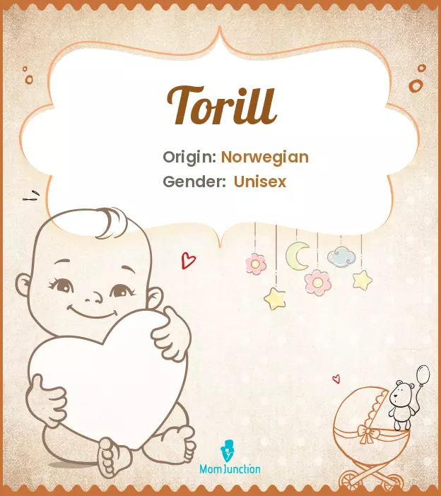 torill_image