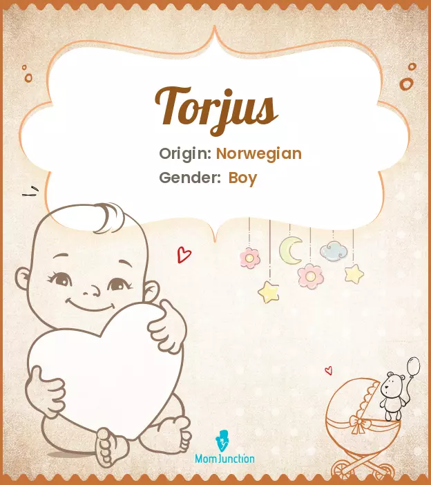 torjus_image