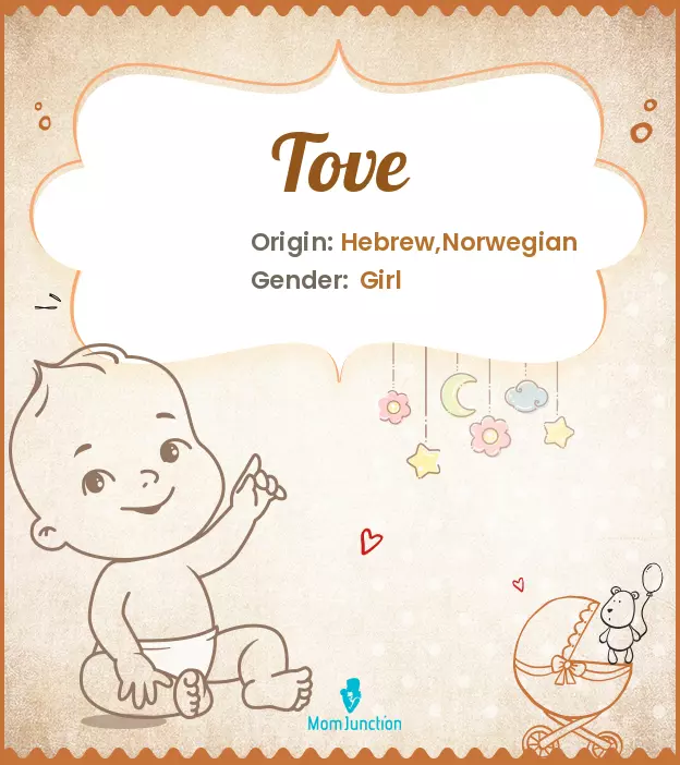 Tove: Name Meaning, Origin, History, And Popularity_image