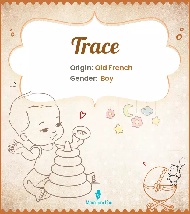 Explore Trace: Meaning, Origin & Popularity | MomJunction