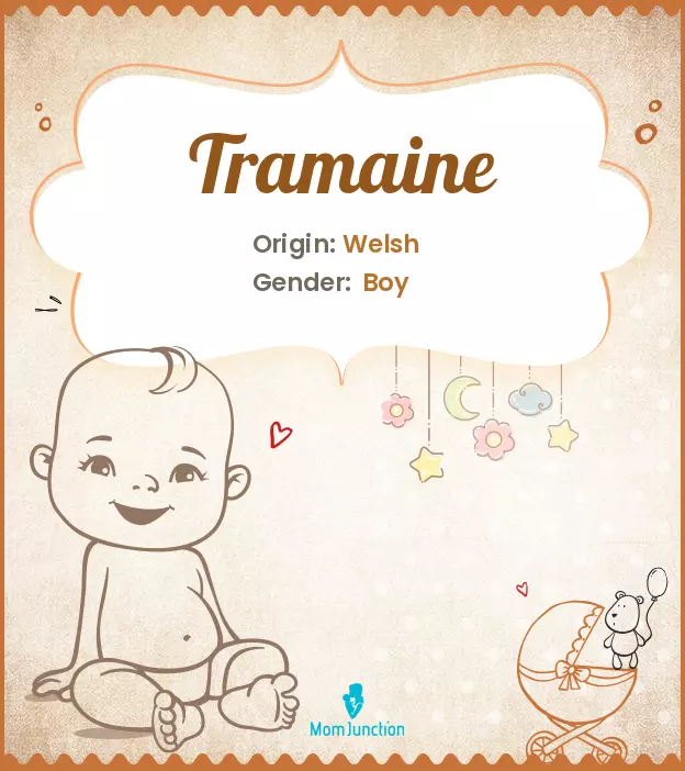 Explore Tramaine: Meaning, Origin & Popularity | MomJunction