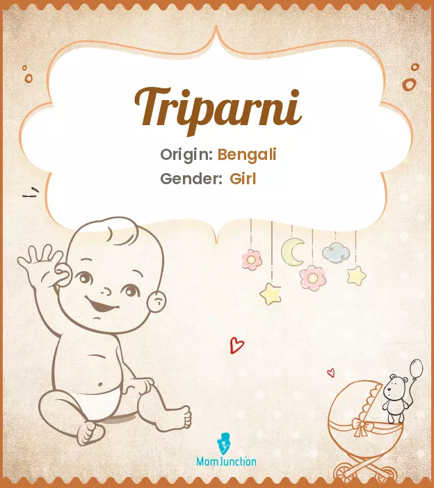 triparni_image